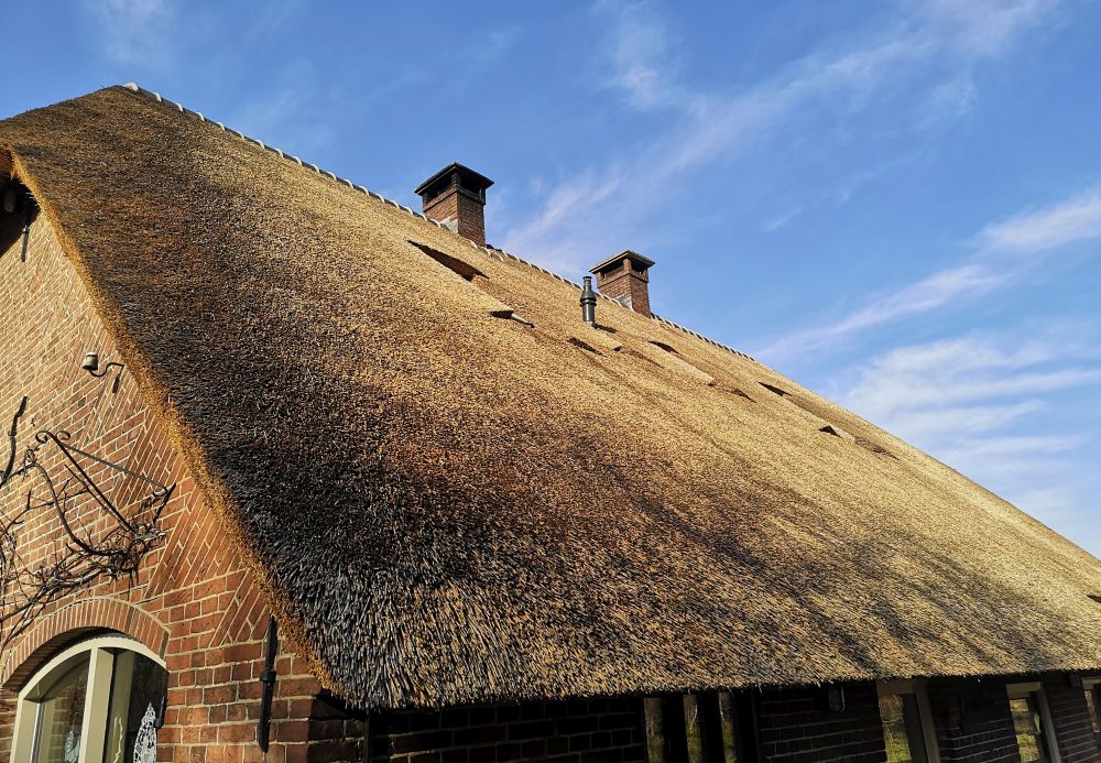 Het oude dak van Maasjesland